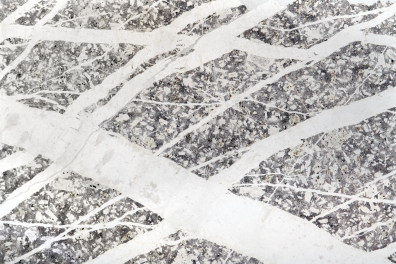 Quartz dans roche volcanique LPNA x1,5